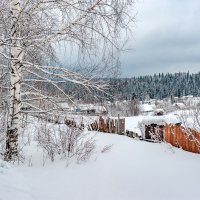 Зима пришла... :: Виктор Садырин