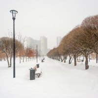 Зимний парк :: Валерий Иванович