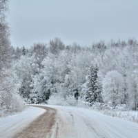 Декабрь. :: Александр Зуев