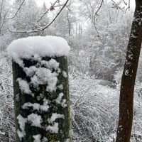 Привет, зима :: Heinz Thorns