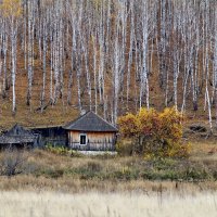 Домик лесника. :: Татьяна Перегудова 