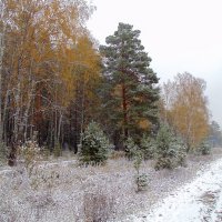 Однажды в сентябре. :: Мила Бовкун