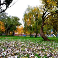 опавшие листья :: oleg kravcov 