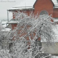 Зима... :: Евгения Мельникова