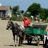 Вольная душа казачья! :: Полина Воркачева