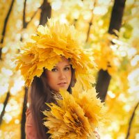 Золотая осень :: Екатерина Зыбина