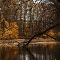 Парк Екатерингоф :: Лана Дмитриева