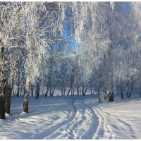 Зимний пейзаж. :: Наталья Юрова