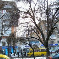 снег в городе :: Святослав 