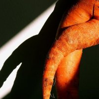 Эта старая дама....морковь :: Георгий Столяров