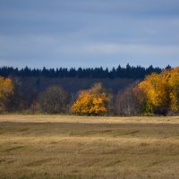 Унылая пора очей очарование :: Жанна Дек