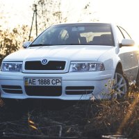 Skoda Octavia :: ShefPhoto 