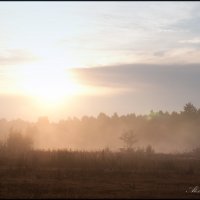 Туман :: Александр Горбачев