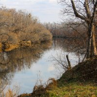 Поздняя осень... :: Виталий Левшов