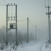 ЛЭП в туман :: Max srmax.ru Morozov