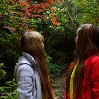 Девочки в лесу :: Ангелина Чабан