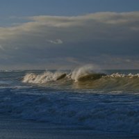 Цвета морской волны... самое синее в мире. :: Александр Земляной