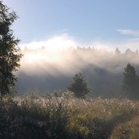 Туман над Угрой. Август. :: Марина Медникова 