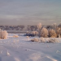 Нежность морозного утра :: Наталья Гжельская