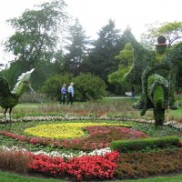 Jardin botanique :: ed 