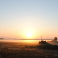 Утро в тумане :: Александр Горбачев