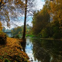 Осенняя река :: photopixel photopixel