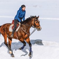 Всадница :: SanSan 