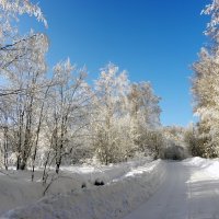 Зимняя дорога :: Стальбаум Юрий 