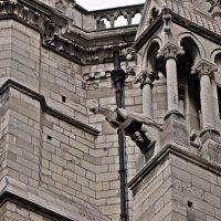 Notre Dame de Paris :: Aquarius - Сергей