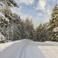 Сельская  зимняя дорога :: Василий Колобзаров