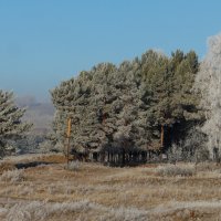 Зима дохнула холодом. :: nadyasilyuk Вознюк