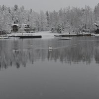 . :: Алексей Неустроев