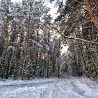 Зима под снегом, :: Виктор Журбенков