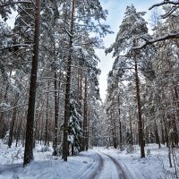 Зима под снегом, :: Виктор Журбенков