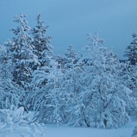 Зима в Заполярье. :: Ирина Нафаня