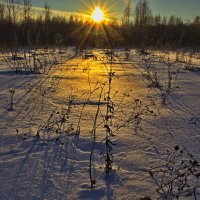 Зимний закат. :: Анатолий Борисов