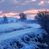 winter morning :: Elena Wymann