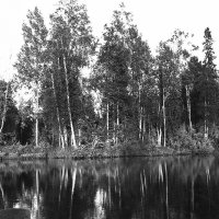 Озеро Вокшозеро :: Владимир Никольский (vla 8137)