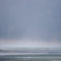 утренний туман на реке :: Александр Леонов