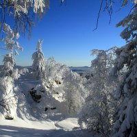 Яркий морозный день :: Галина Ильясова