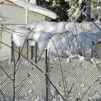 Снег везде, он облепляет даже прутья заборных сеток... :: Стальбаум Юрий 