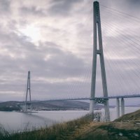 Мост на остров Русский :: Татьяна Маркова