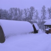 После снегопада :: Людмила Смородинская