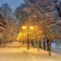 Ночной снегопад :: Игорь Сарапулов