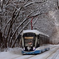 Сокольники :: Михаил Бибичков