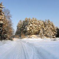 Праздничное начало зимнего сельского шляха на Карельском перешейке :: Стальбаум Юрий 