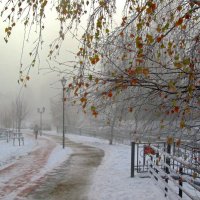 В зимнем тумане :: Сергей Карачин