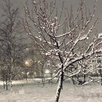 Снегопад в Москве :: Pippa 