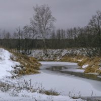 У речки в ненастный день :: Сергей Цветков