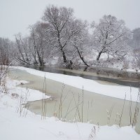Снегопад после оттепели :: Сергей Курников
